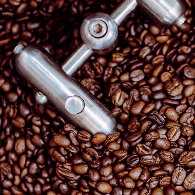 roasted beans photo